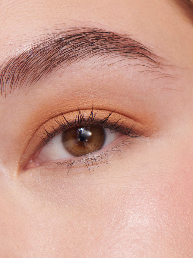 LIQUID POWDER MATTE EYE TINT - Orche