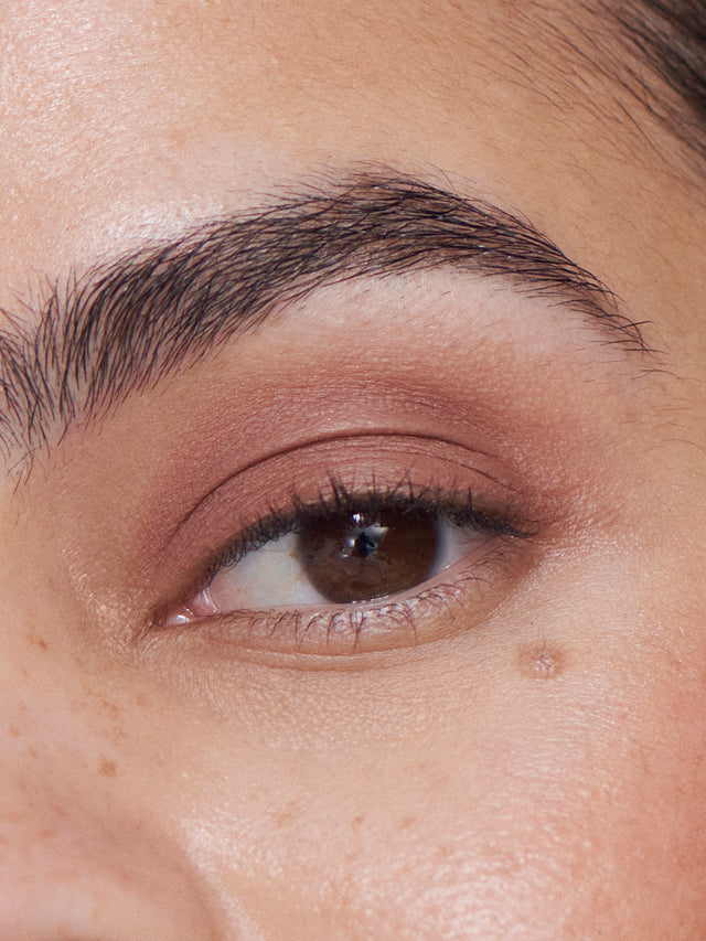 LIQUID POWDER MATTE EYE TINT - Tannin