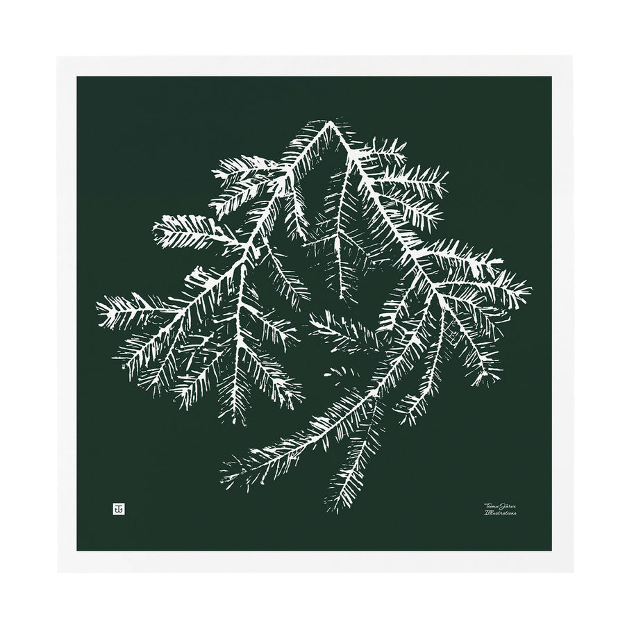SPRUCE BRANCH POSTER - forest green