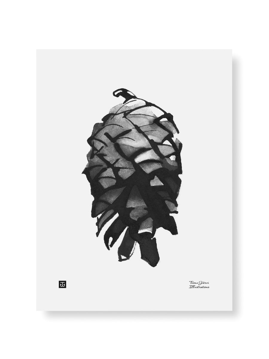 PINE CONE POSTER